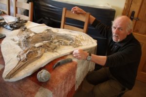 steve-restoring-and-preparing-fossils-for-exhibitiion-credit-dermot-ma